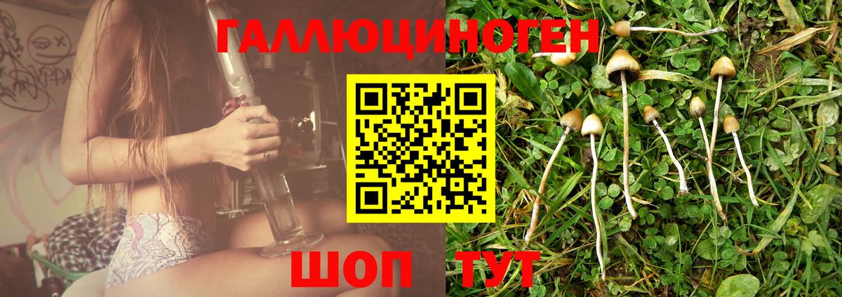 Псилоцибиновые грибы прущие грибы  Галлюциногенные грибы мухоморы  где купить наркотик  Орехово-Зуево  Вход с VPN 